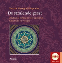 De stralende geest - voorzijde