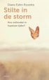 Stilte in de storm